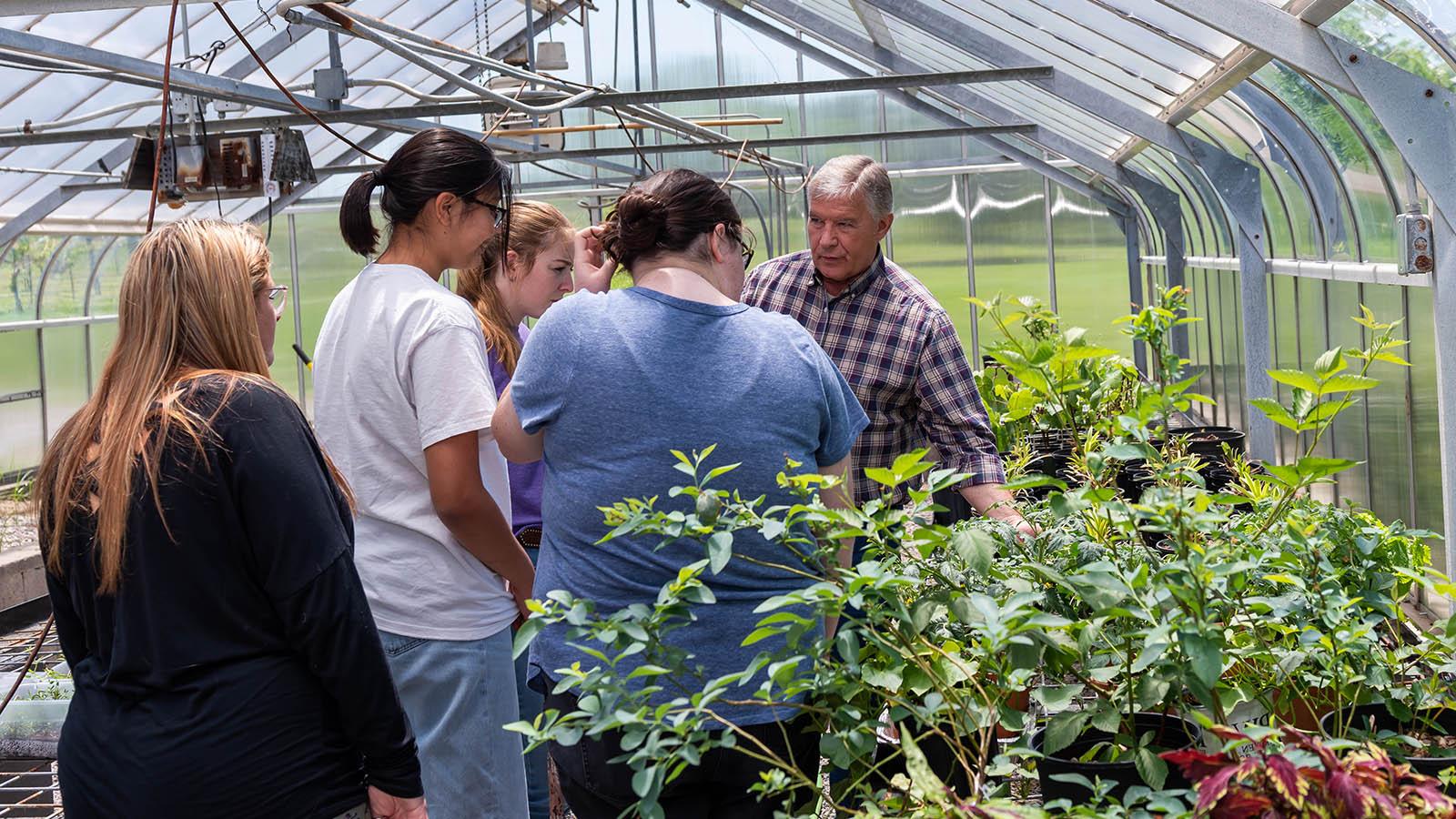Agriculture students learning with teacher in greenhouse