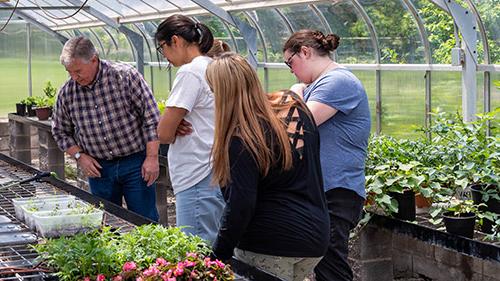 Students with faculty mentor examining growing 植物 in greenhouse